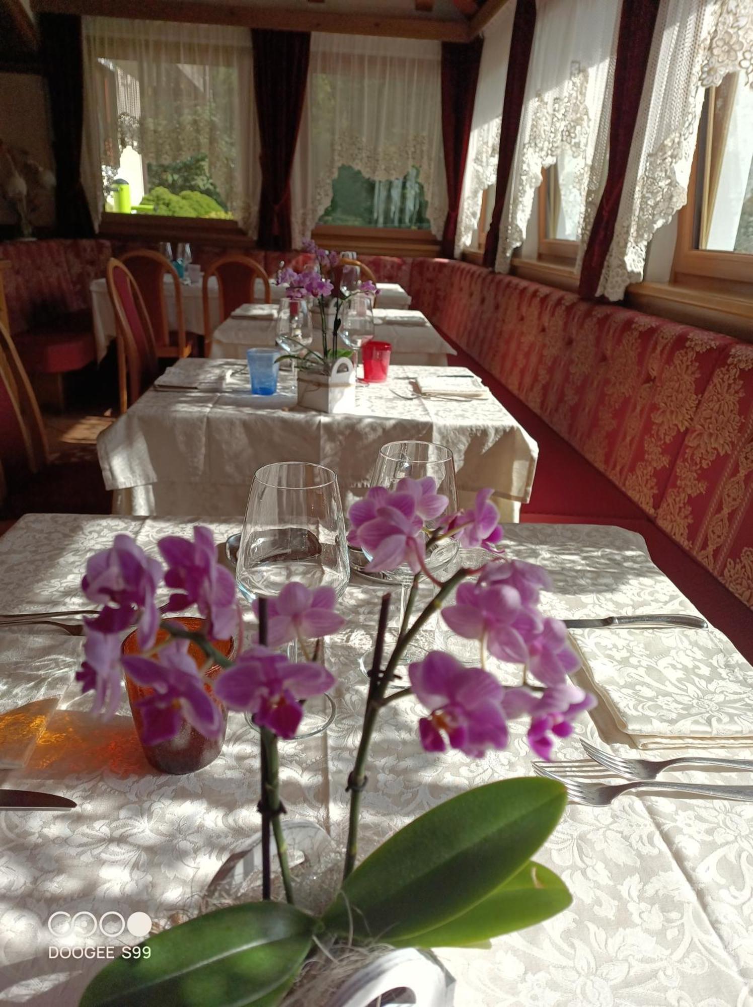 Park Arnica Hotel Falcade